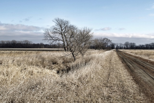 dirt road