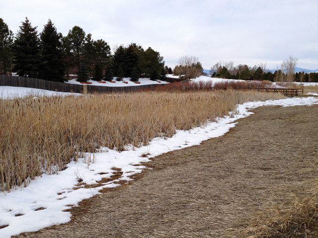 Suburban trails