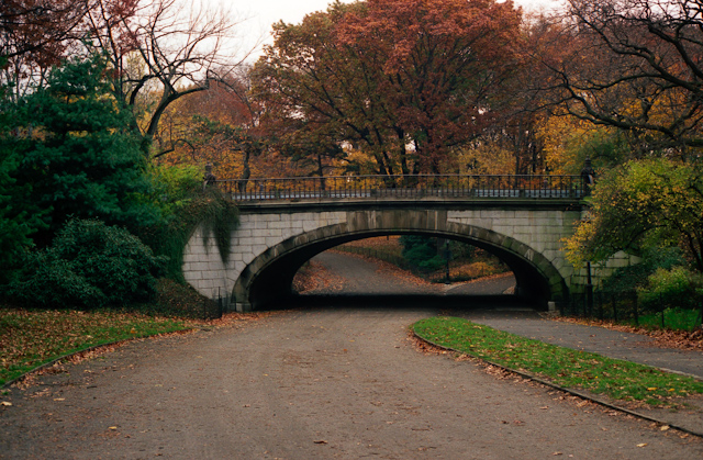 Central Park, Autumn