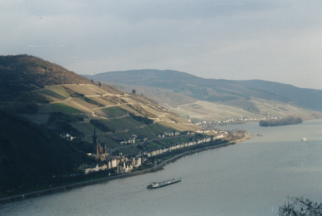 The Rhine