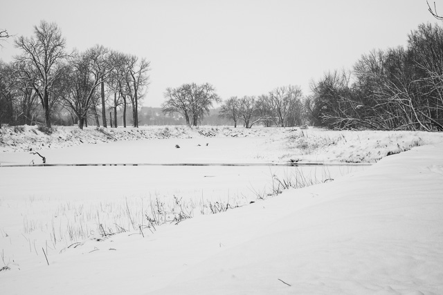 The river in snow