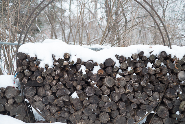 Wood pile before