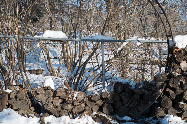 Wood pile after