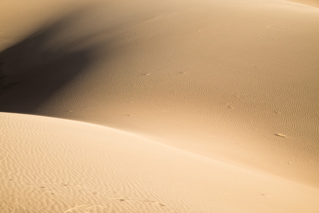 Details in the sand