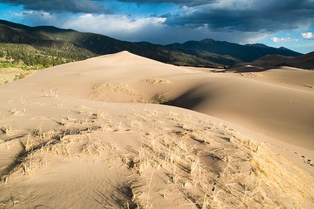 Golden light on the dunes