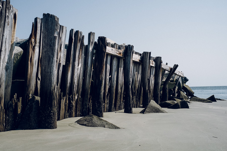 Beach walk 2