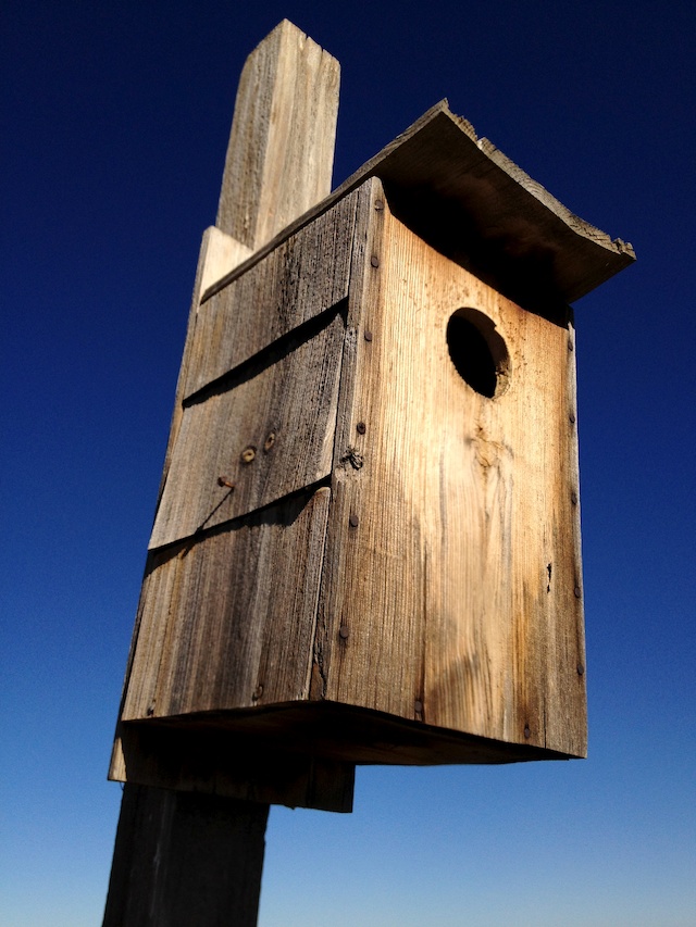 Birdhouse