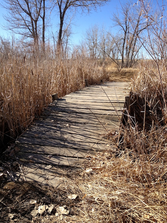 Small Bridge