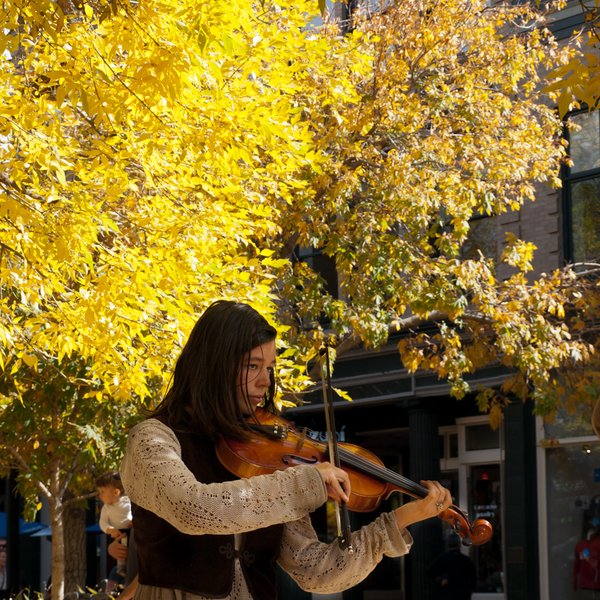 Violinist