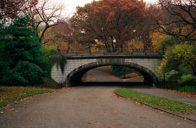 Bridge in central park in autumn