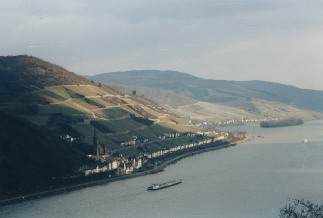 A view of the Rhine river from high up